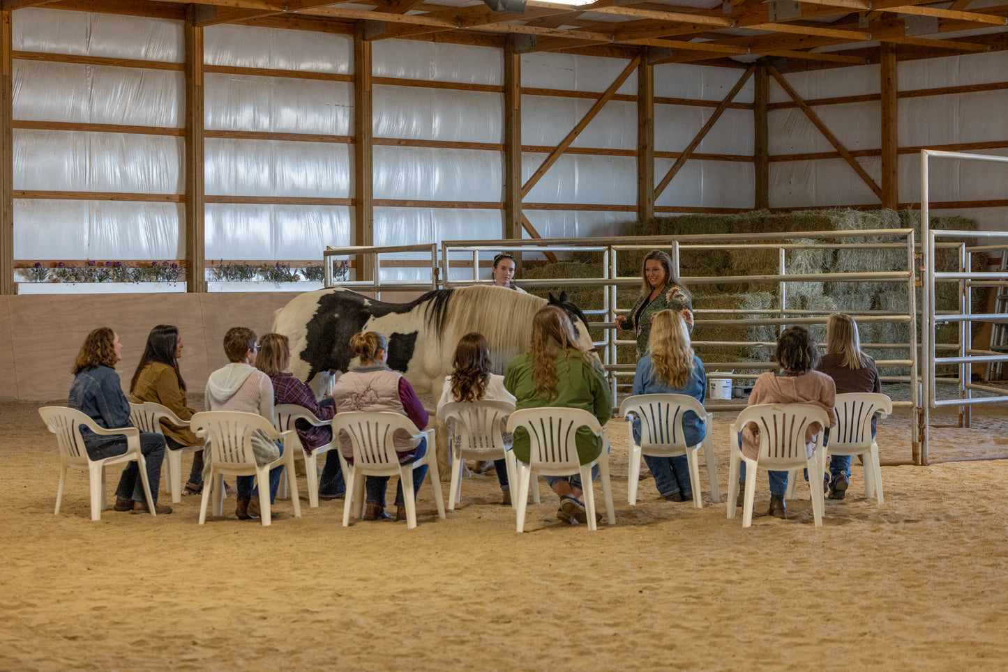 DEC 11TH - EQUINE FACILITATION EXPERIENCE: BUILDING TRUST AND BOUNDARIES