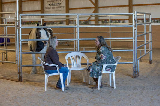 INDIVIDUAL EQUINE FACILIATION SESSION: BOUNDARIES & TRUST