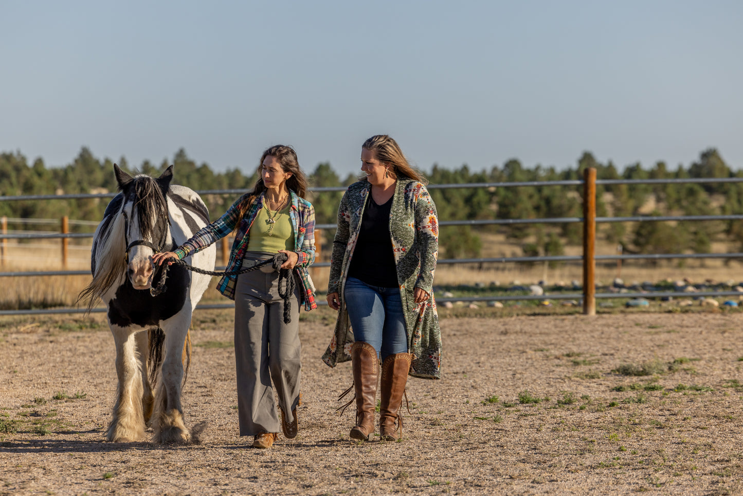 INDIVIDUAL EQUINE FACILIATION SESSION: BOUNDARIES & TRUST
