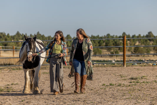 DEC 11TH - EQUINE FACILITATION EXPERIENCE: BUILDING TRUST AND BOUNDARIES