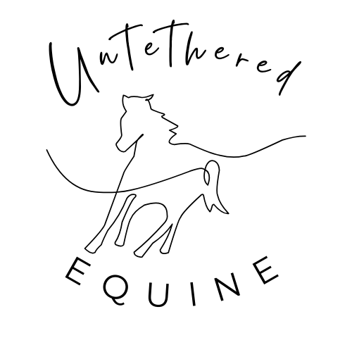 UNTETHERED EQUINE