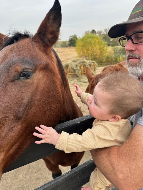 INDIVIDUAL EQUINE FACILIATION TIME: WHO AM I?