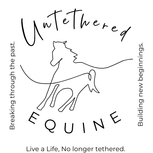 COUPLE EQUINE FACILIATION CLINIC, LET'S COMMUNICATE!